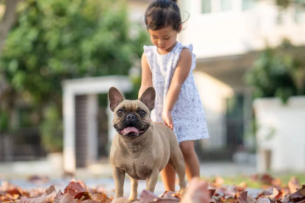 Een Schattig Aziatisch Klein Meisje Spelen Met Haar Hond Outdoor — Stockfoto