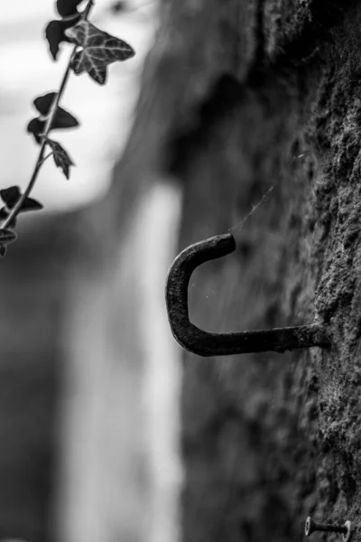 Vertical Grayscale Shot Ancient Hook Rock Wall — Stock Photo, Image