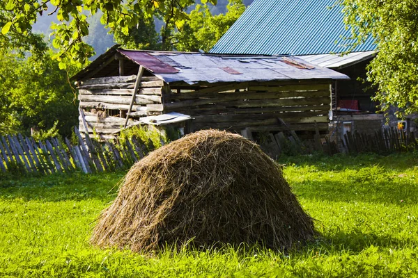 Mezőgazdasági Jelenet Egy Falusi Házról Szénáról Kertben Mezőn — Stock Fotó