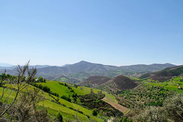 Die Grünen Hügel Unter Dem Blauen Himmel Einem Sonnigen Tag — Stockfoto