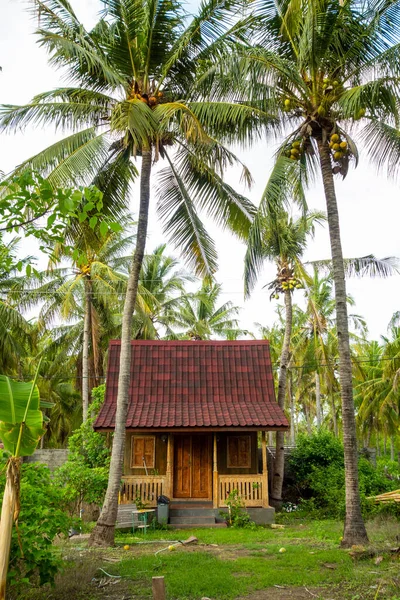 Una Pequeña Casa Madera Antigua Bosque Tropical Bali — Foto de Stock