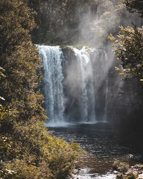 オーストラリア ニューサウスウェールズ州のDorrigo滝の垂直ショット — ストック写真