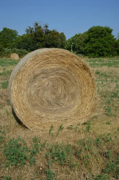 Een Ronde Hooibaal Het Grasveld Het Platteland — Stockfoto