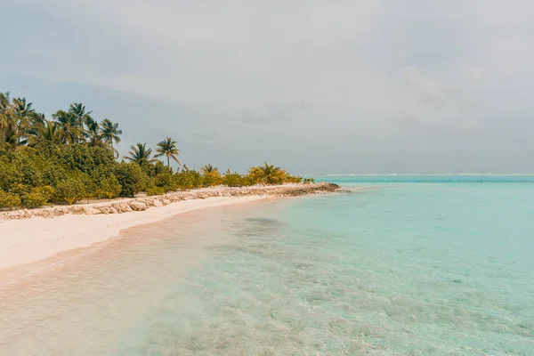 Wysoki Kąt Strzał Oceanu Różową Piaszczystą Plażą Palmami Jasnym Dniu — Zdjęcie stockowe