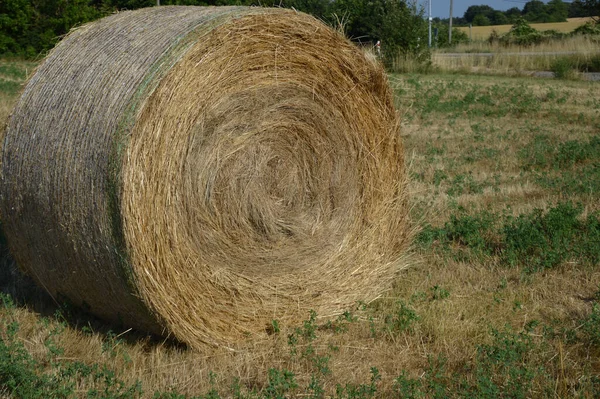 Een Ronde Hooibaal Het Grasveld Het Platteland — Stockfoto