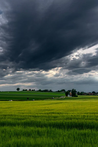 Tiro Vertical Campo Agrícola Sob Céu Tempestuoso — Fotografia de Stock