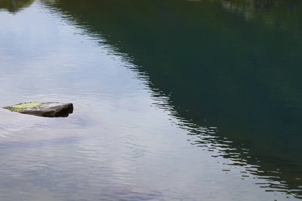 Closeup Shot Calm Lake Rock — Stock Photo, Image