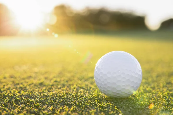 Close Uma Bola Golfe Branco Campo Gramado Againt Raios Sol — Fotografia de Stock