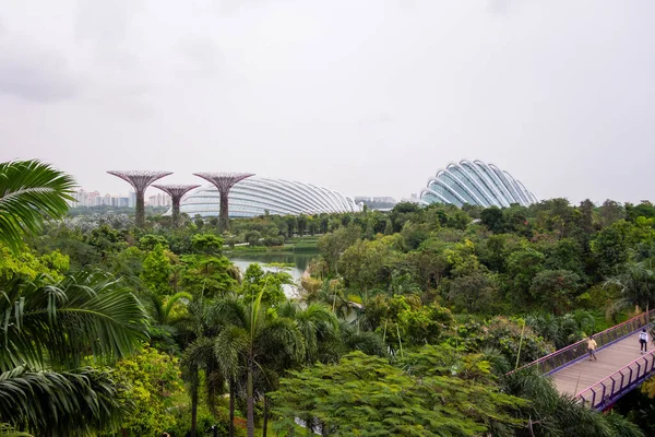 Los Famosos Jardines Junto Bahía Singapur — Foto de Stock