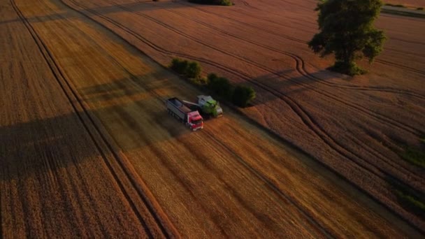 Luftaufnahme Eines Traktors Bei Der Arbeit Auf Dem Land Ländlichen — Stockvideo