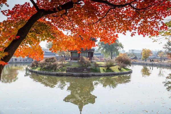 Het Prieel Van Gyeongbokgung Palace Reflecteert Een Meer Herfst Zuid — Stockfoto