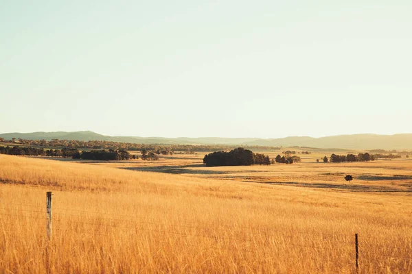 Una Hermosa Vista Gran Campo Agrícola Con Una Valla Día —  Fotos de Stock