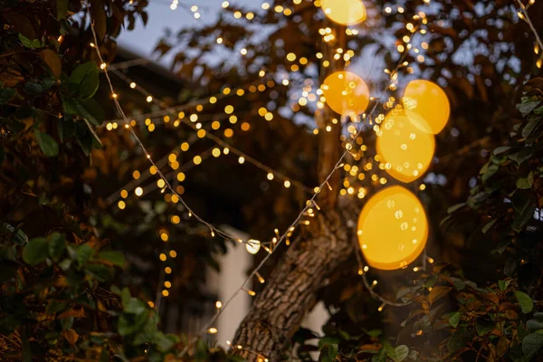 Closeup Shot Glowing Yellow Garlands Hanging Trees Backyard — Stock Photo, Image