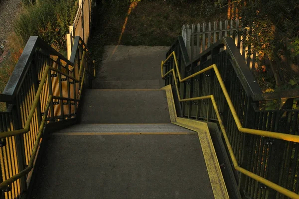 Eine Treppe Einem Garten Der Tageslicht Von Bäumen Bedeckt Ist — Stockfoto