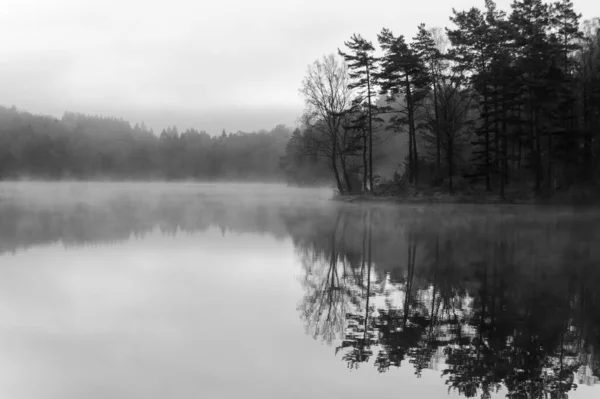 Μια Μαγευτική Λήψη Της Ομίχλης Που Καλύπτει Λίμνη Στο Δάσος — Φωτογραφία Αρχείου