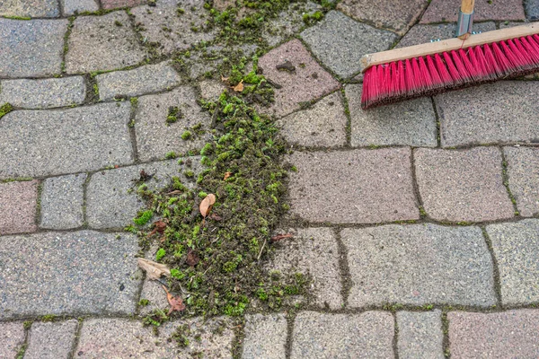 Closeup Shot Green Lawn Puddle Concrete Floor — Stok fotoğraf