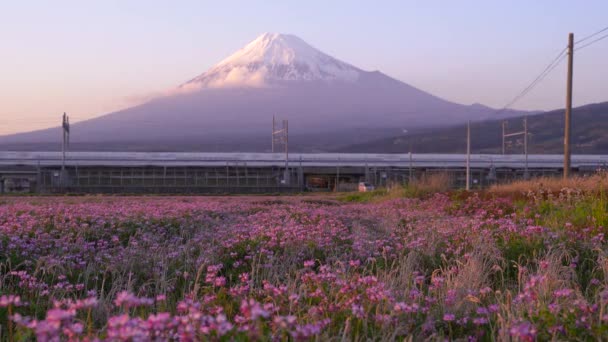 Όμορφο Τοπίο Του Βουνού Fuji Στο Φόντο Των Βουνών — Αρχείο Βίντεο