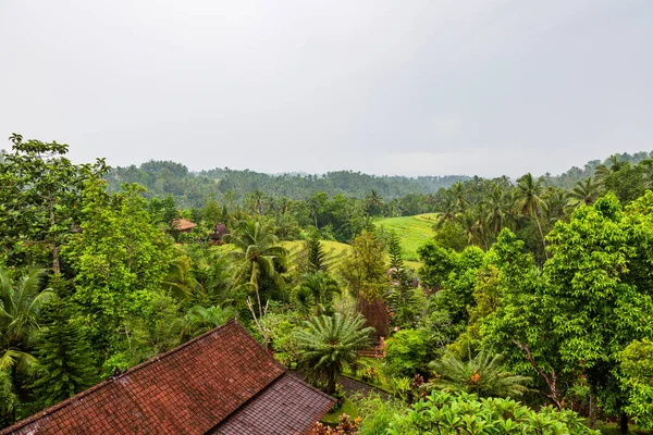 Bali Nin Güzel Bir Fotoğrafı — Stok fotoğraf