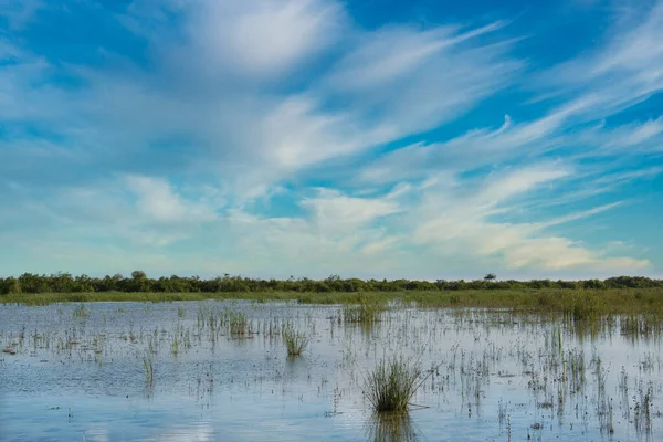 Öğleden Sonra Küçük Bir Göl Mavi Gökyüzünün Altındaki Ufuk Ağaçları — Stok fotoğraf