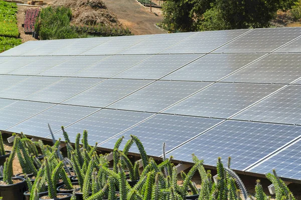 Ein Malerischer Blick Auf Sonnenkollektoren Die Als Erneuerbare Energien Genutzt — Stockfoto