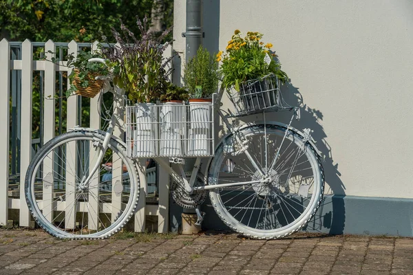 Какие Горшки Растениями Велосипеде Припаркованные Перед Белым Забором — стоковое фото