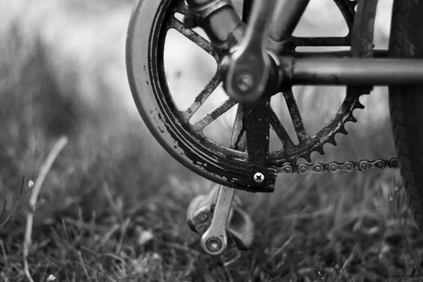 Bisiklet Sürerken Çekilen Gri Ölçekli Bir Fotoğraf Çim Tarlasında Pedal — Stok fotoğraf
