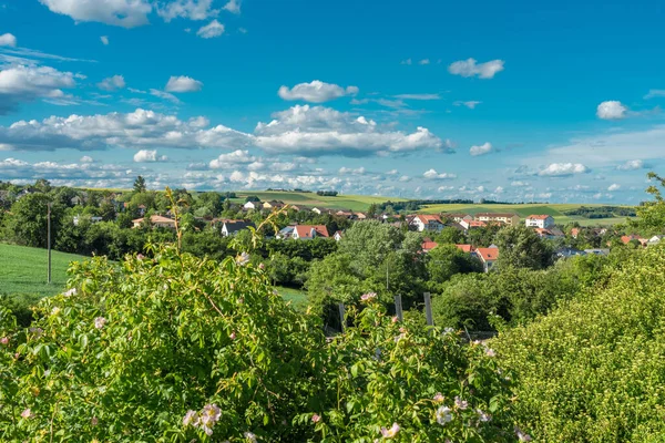 Almanya Nın Doğayla Çevrili Kirchheimbolanden Kasabasının Manzarası — Stok fotoğraf