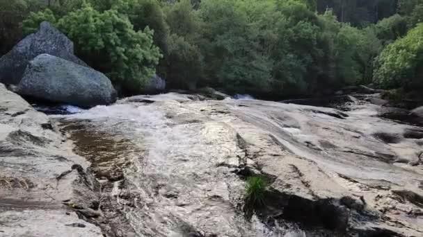 Krásný Výhled Řeku Lese — Stock video