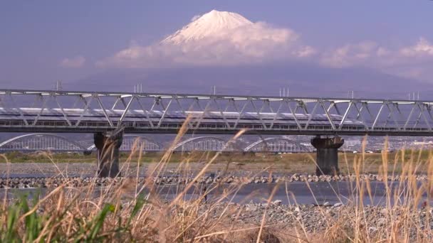 朝の湖の美しい風景 — ストック動画