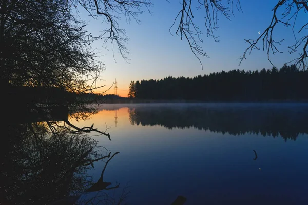Красивое Тихое Утро Озере Деревьями Спокойной Воде — стоковое фото