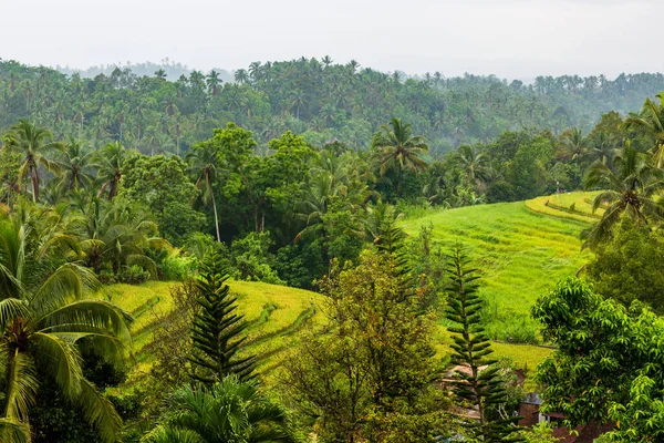 Eine Schöne Aufnahme Von Bali — Stockfoto