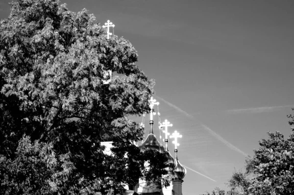 Eine Graustufenaufnahme Christlicher Kreuze Auf Den Kuppeln Hinter Einem Üppigen — Stockfoto