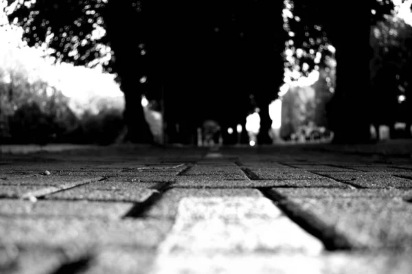 Grayscale Shot Alley Cobblestone Pavement — Stock Photo, Image