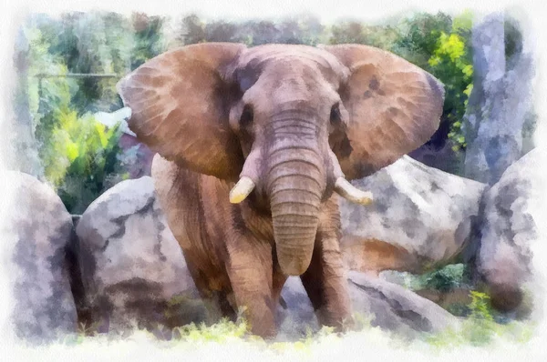 森の大きな岩の横に立つ美しい象のデジタル水彩画 — ストック写真