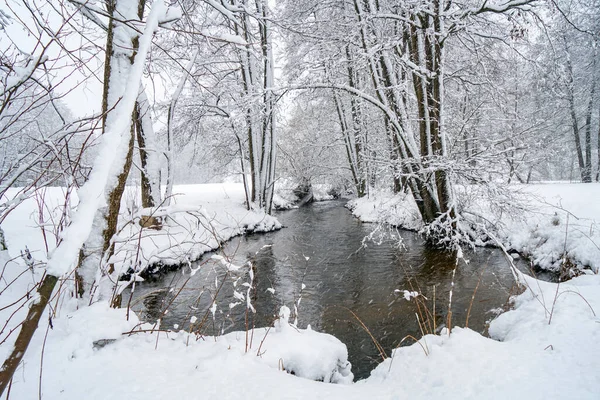 Beau Plan Une Petite Piscine Dans Une Forêt Enneigée — Photo