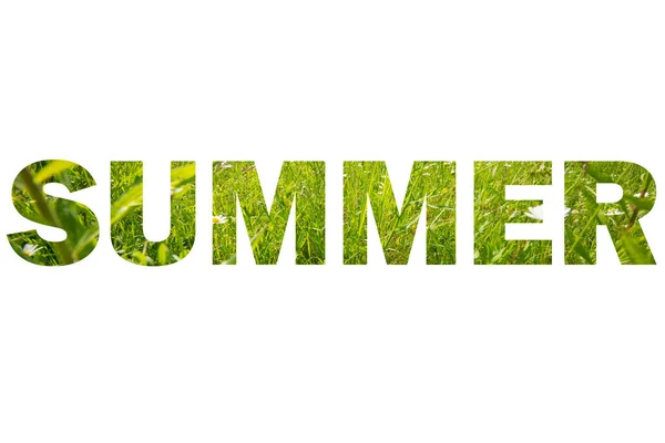 Εικονογράφηση Γραφικού Κειμένου Καλοκαίρι Γέμιση Πράσινου Γρασιδιού Για Σχεδιασμό — Φωτογραφία Αρχείου