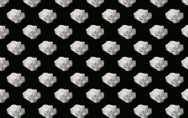 Beautiful Floral Background White Roses Perfect Wallpaper — Stock Photo, Image