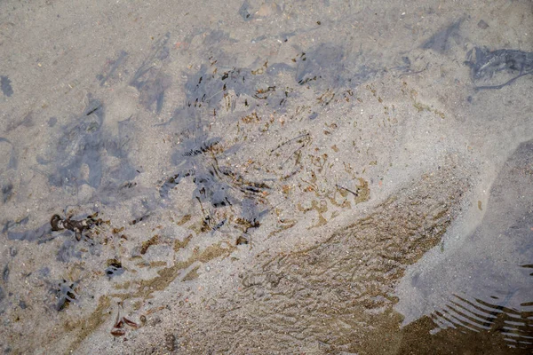 Primer Plano Fondo Agua Del Río —  Fotos de Stock