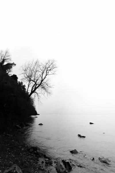 Vue Niveaux Gris Lac Entouré Arbres Nus Couverts Brouillard Lumière — Photo