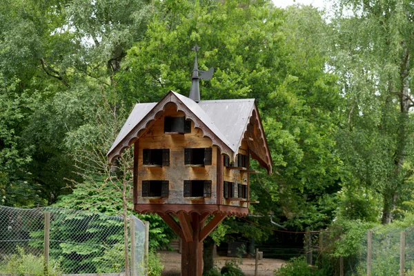 Nahaufnahme Eines Vogelhauses Einem Park — Stockfoto