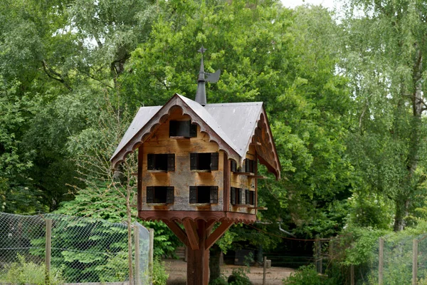 Een Dichtbij Shot Van Een Vogelhuis Een Park — Stockfoto