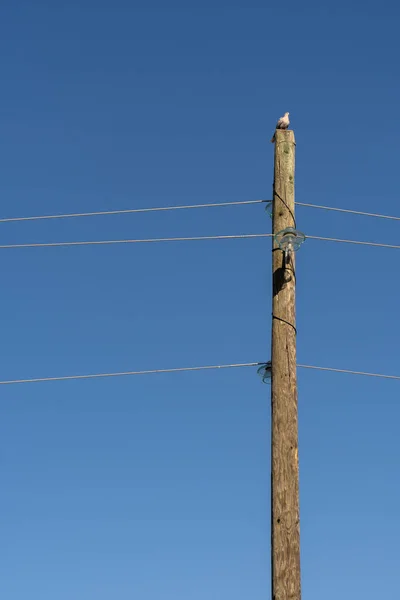 Вид Деревянный Столб Электрическими Проводами Прикрепленными Нему Голубому Небу — стоковое фото