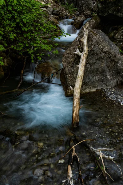 森林中的一条长期暴露在岩石和绿叶中的河流的垂直照片 — 图库照片