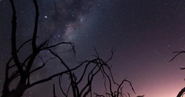 Hermoso Cielo Nocturno Con Estrellas — Vídeos de Stock
