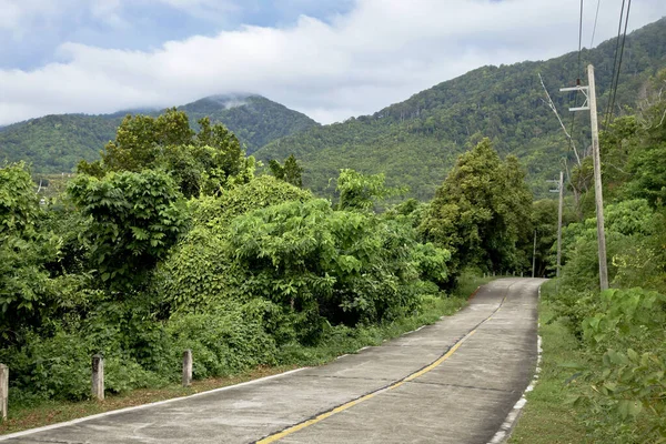 Krabi Thailand Dez 2014 Estrada Tarmac Através Selva Floresta Tropical — Fotografia de Stock