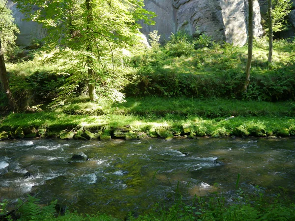 Uma Bela Vista Rio Rochoso Fluindo Cercado Por Verdes Árvores — Fotografia de Stock