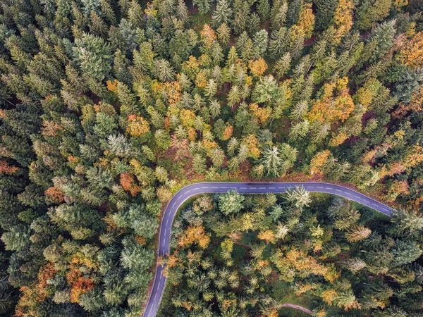Вид Воздуха Извилистую Дорогу Окружении Зелени Деревьев Сельской Местности — стоковое фото