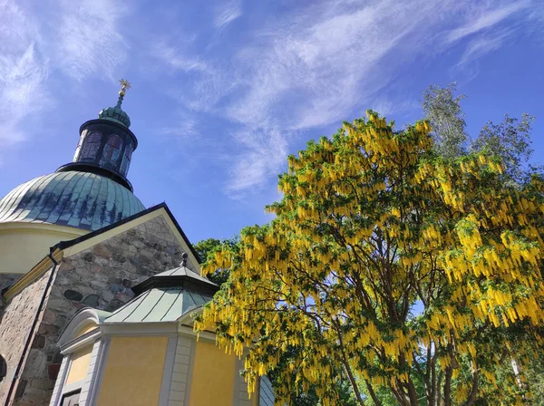 Ein Baum Mit Einer Kirche Hintergrund Unter Blauem Himmel — Stockfoto