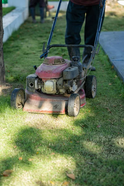 Plan Vertical Homme Utilisant Une Tondeuse Coupant Herbe Dans Parc — Photo