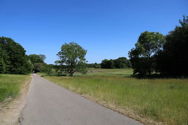 Uma Estrada Asfalto Estreita Que Conduz Farol Nakkehoved — Fotografia de Stock